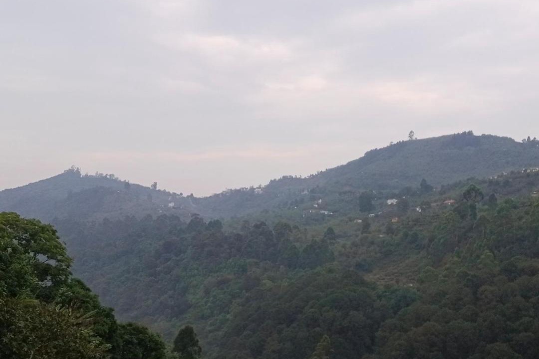 Photo of Others in Kodaikanal