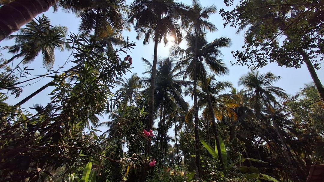 Photo of Others in Patnem