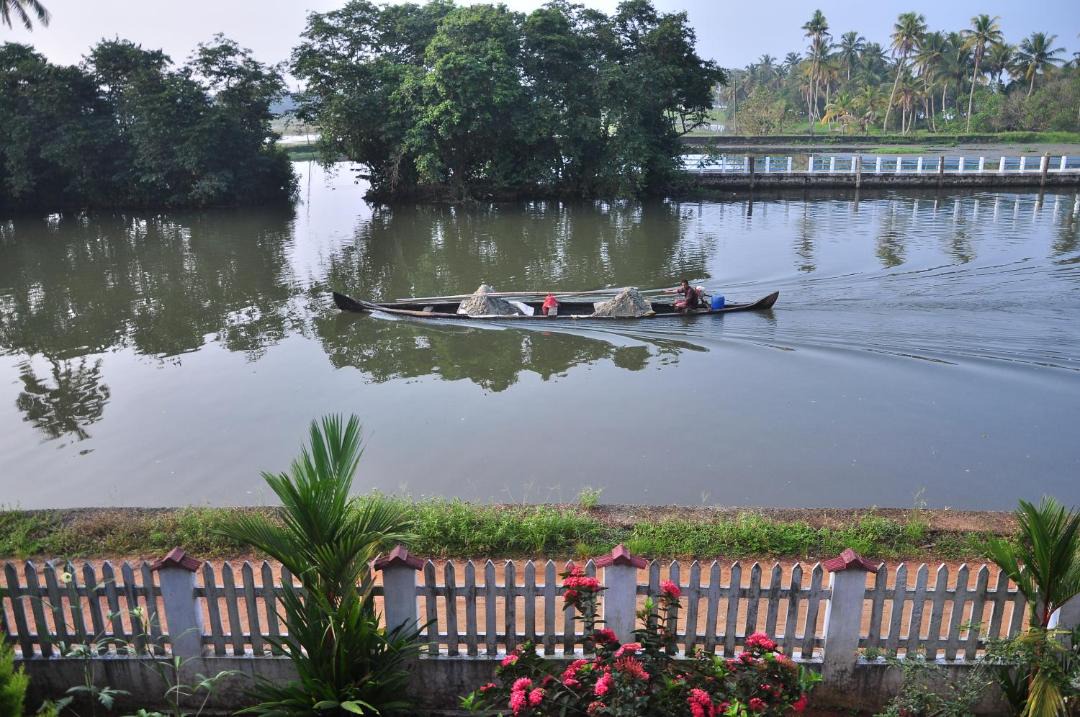Photo of Others in Kumarakom