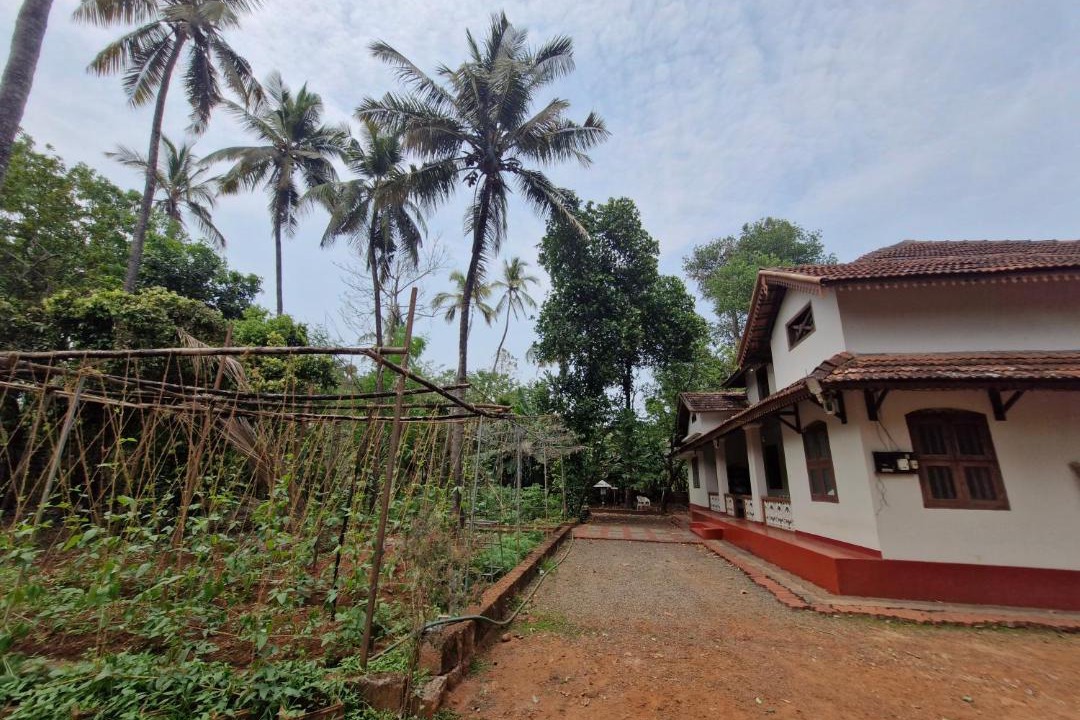 Photo of Others in Kannur