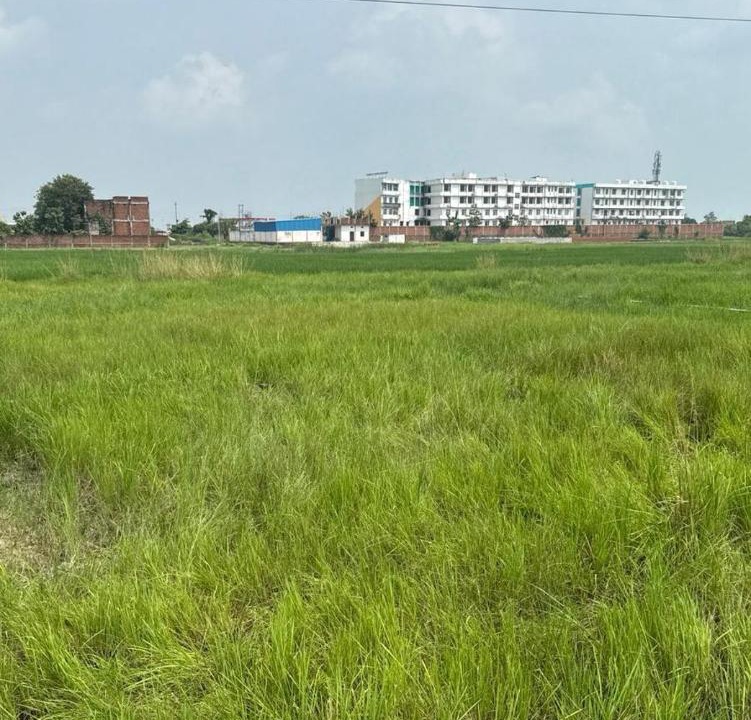 Photo of Others in Chandauli