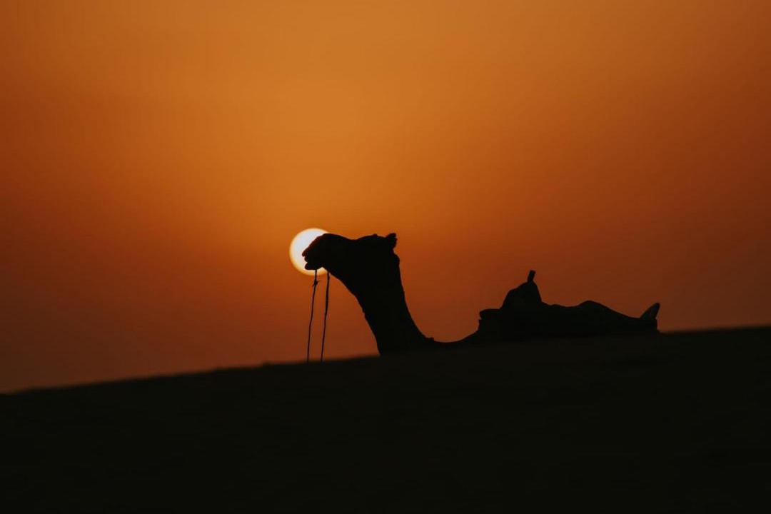 Photo of Others in Jaisalmer