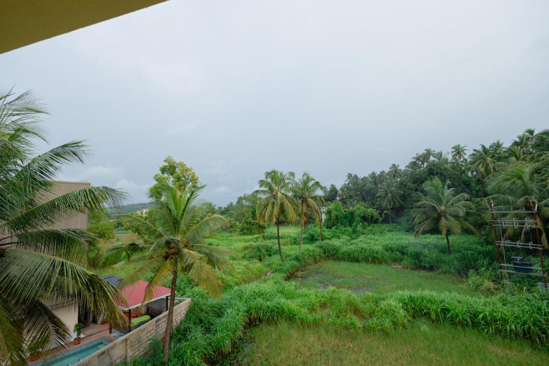 Photo of Others in Nagaon