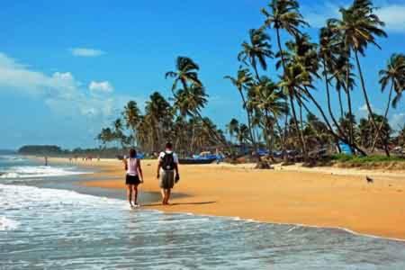 Photo of Others in Calangute