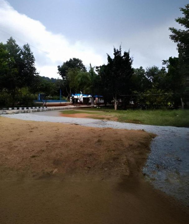 Photo of Others in Yelagiri