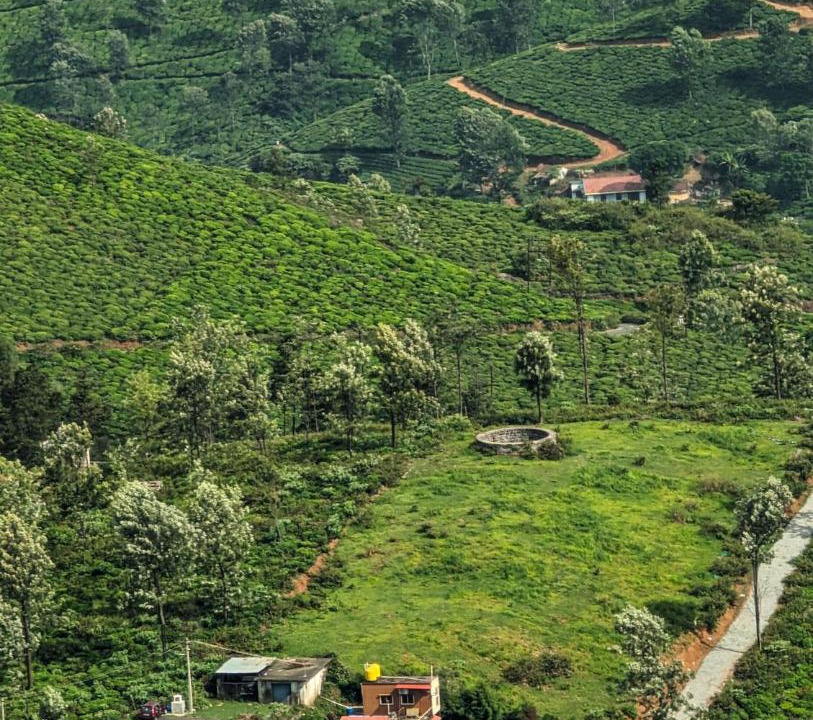 Photo of Others in Coonoor