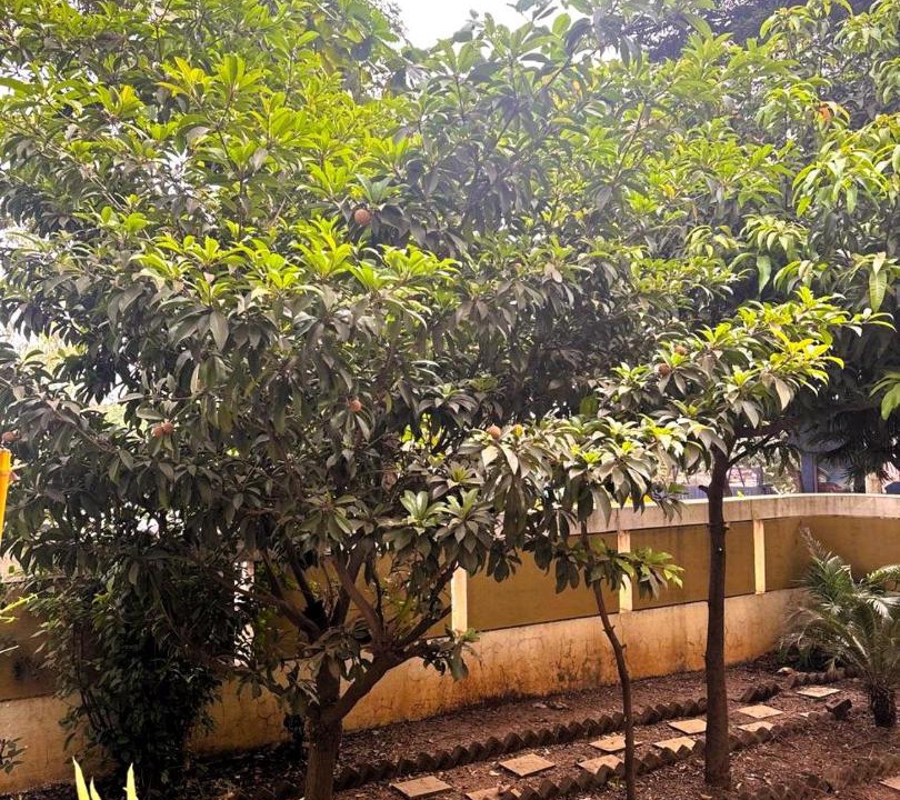 Photo of Others in Nashik