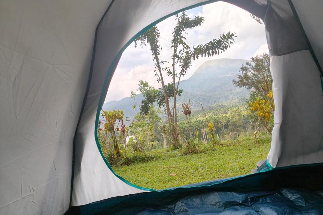 Photo of Others in Samse