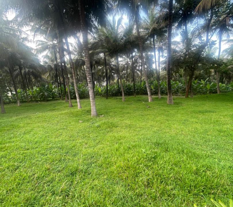 Photo of Others in Pollachi