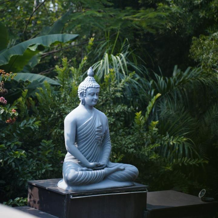 Photo of Others in Naraini