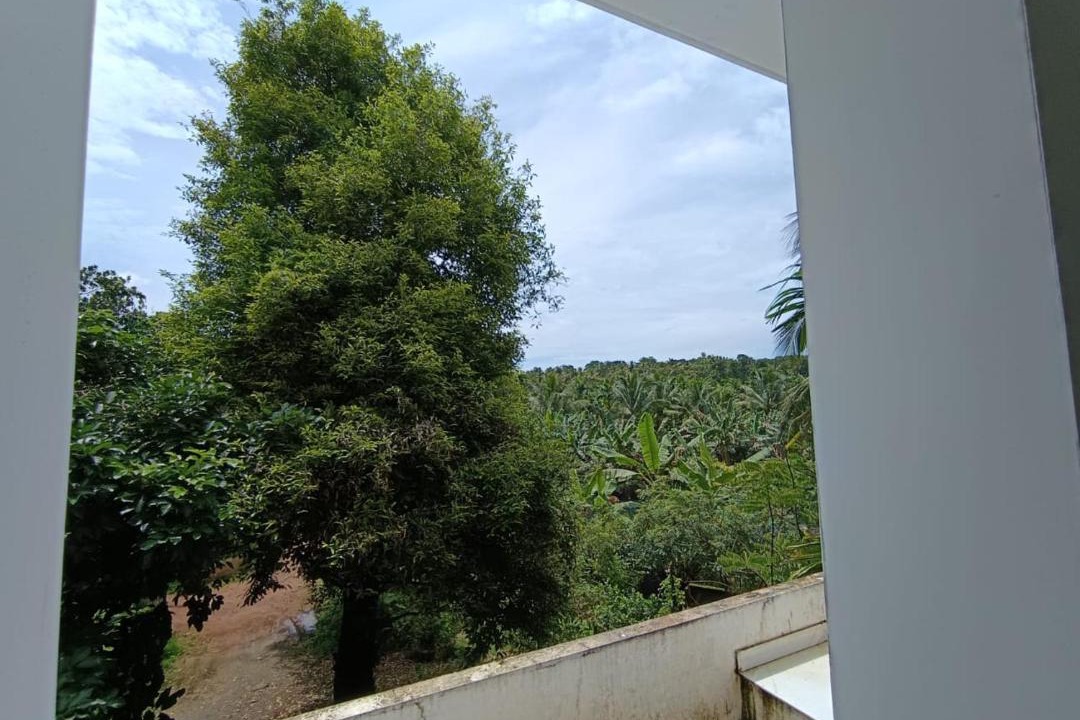 Photo of Others in Irinjalakuda