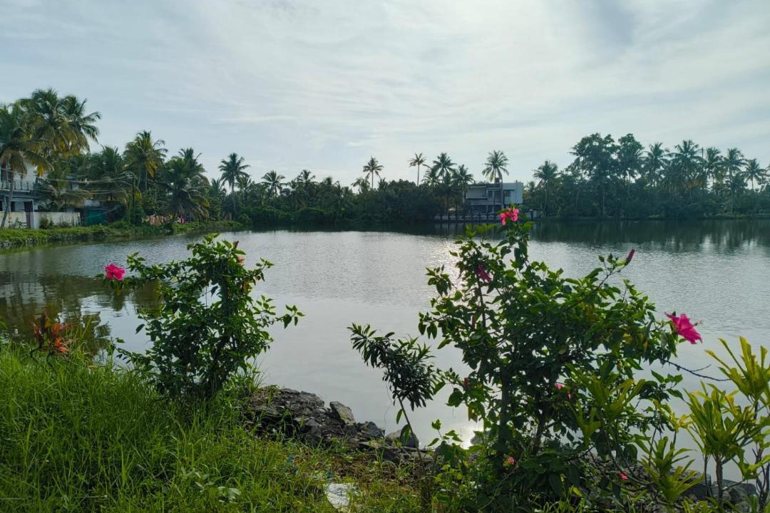 Photo of Others in Kumbalam