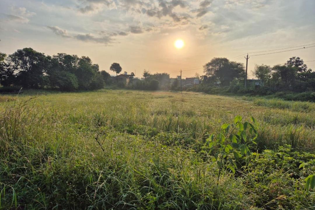 Photo of Others in Sehore