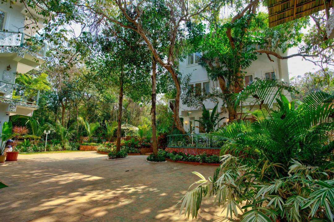 Photo of Others in Anjuna