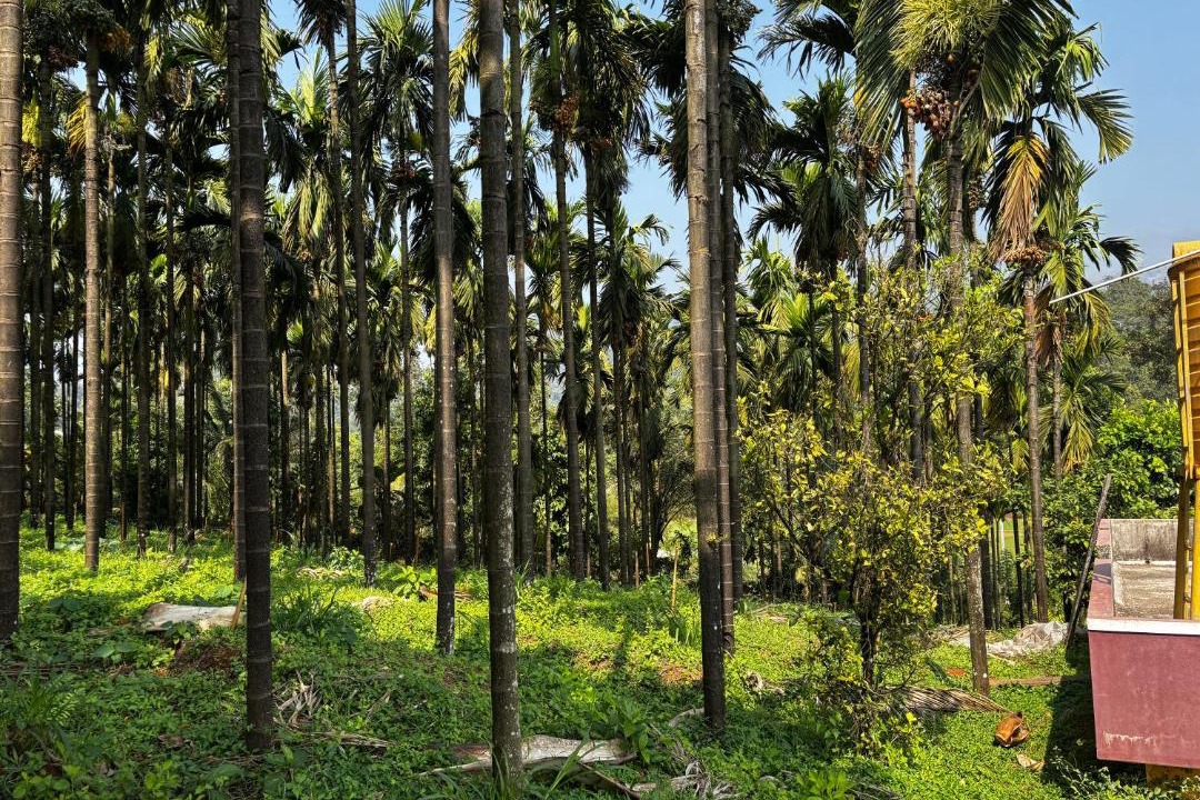 Photo of Others in Beltangadi
