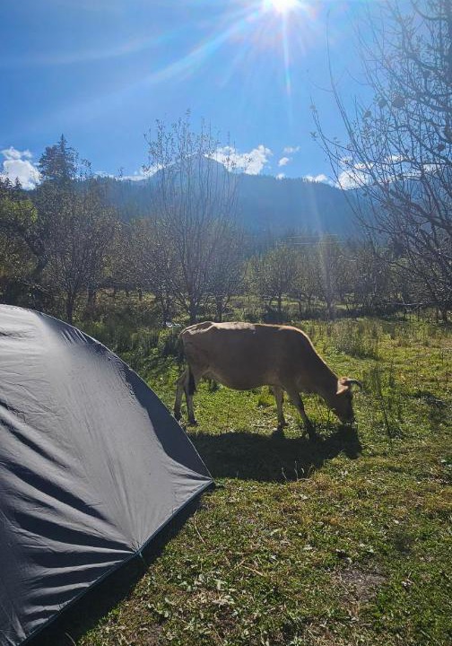 Photo of Outdoor in Kullu
