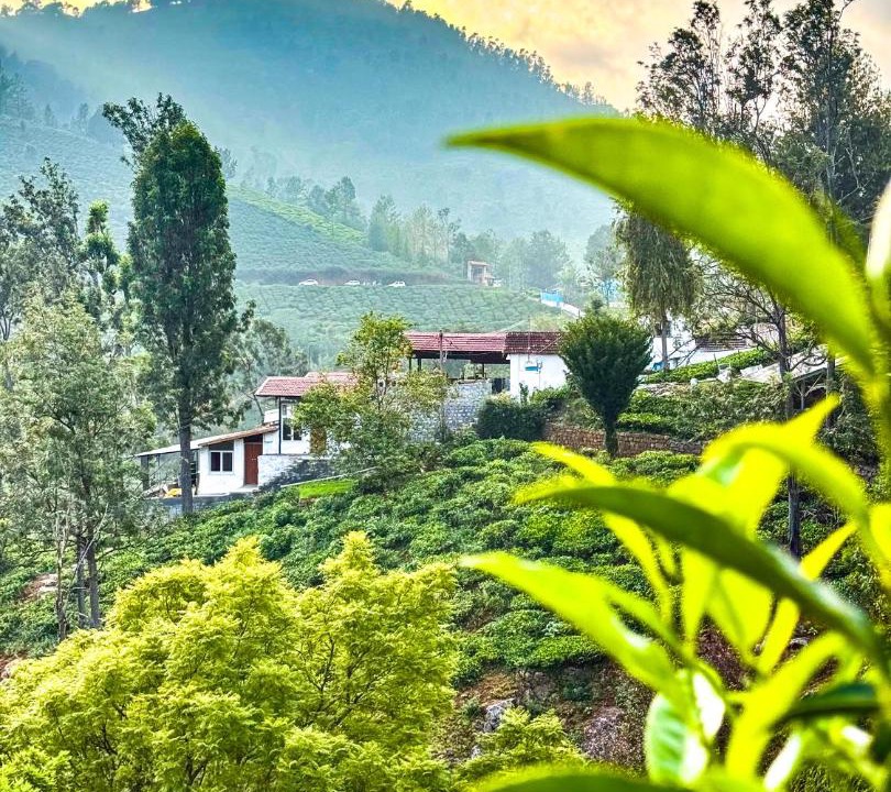 Photo of Others in Coonoor