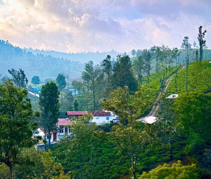 Photo of Others in Coonoor
