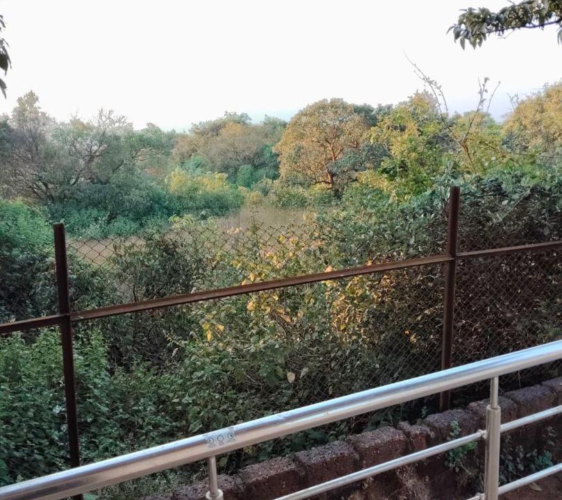 Photo of Others in Mahabaleshwar