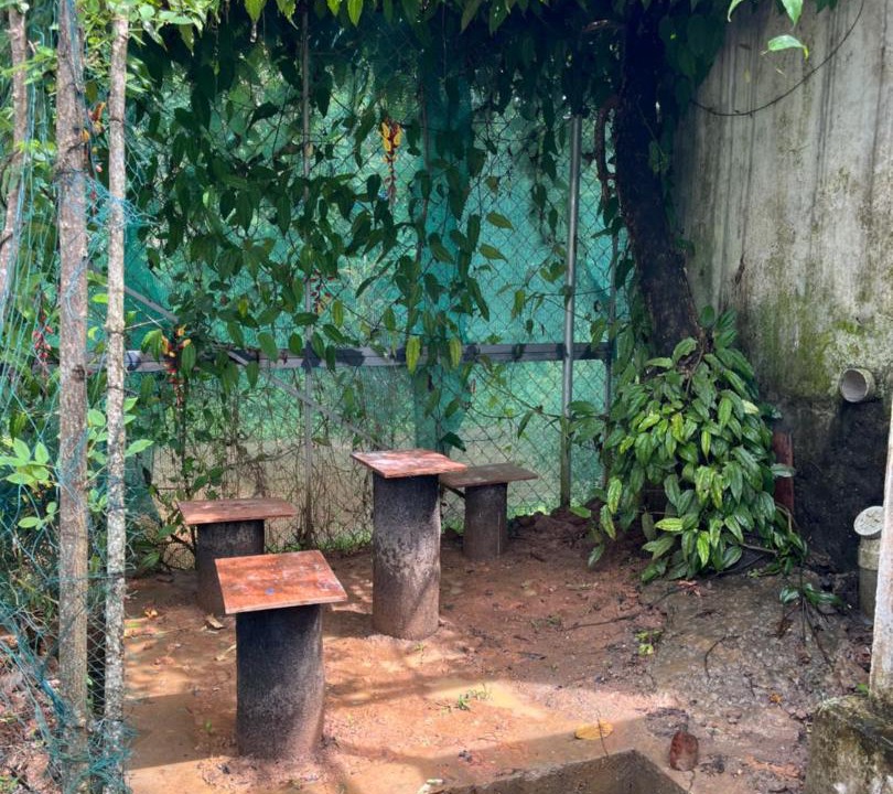 Photo of Others in Mananthavady