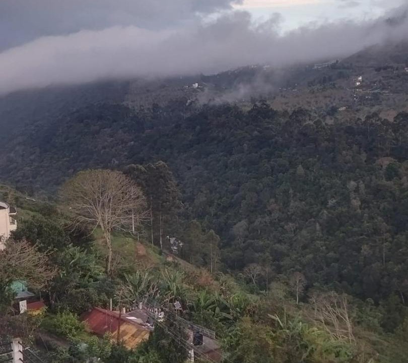 Photo of Others in Kodaikanal