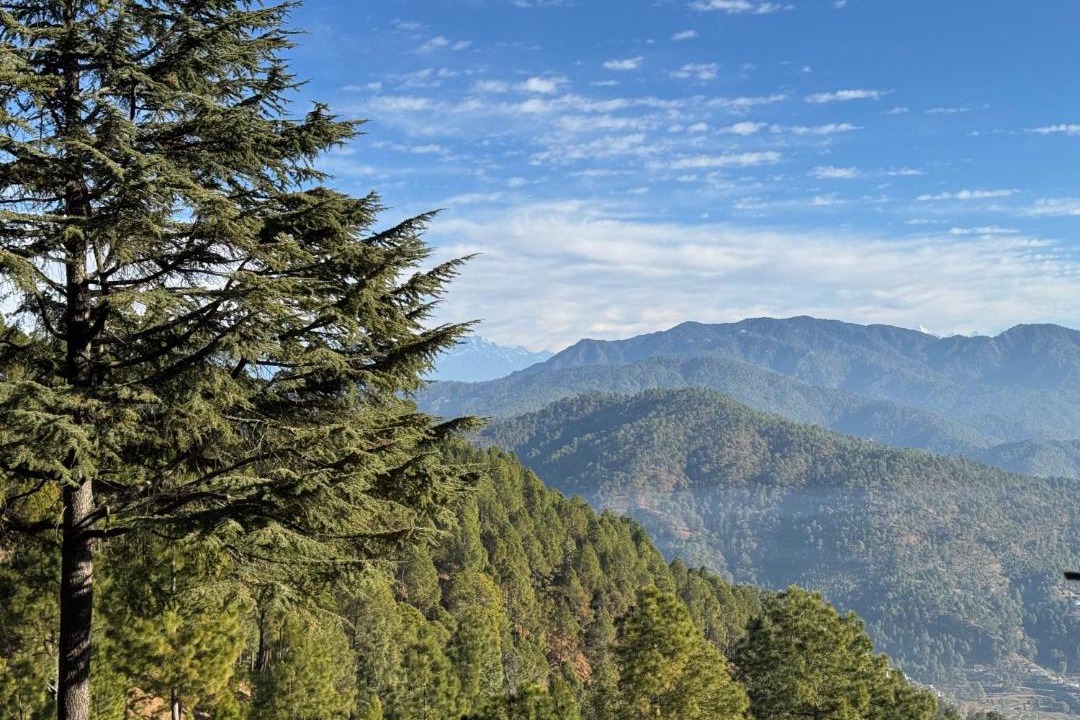 Photo of Others in Almora