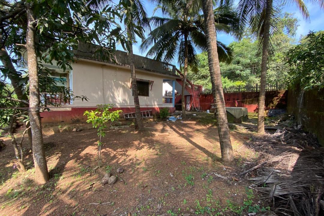 Photo of Others in Agonda