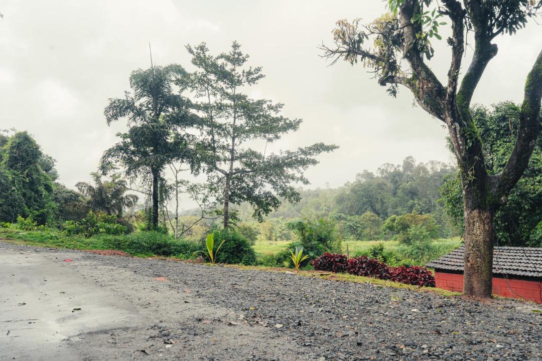 Photo of Others in Madikeri