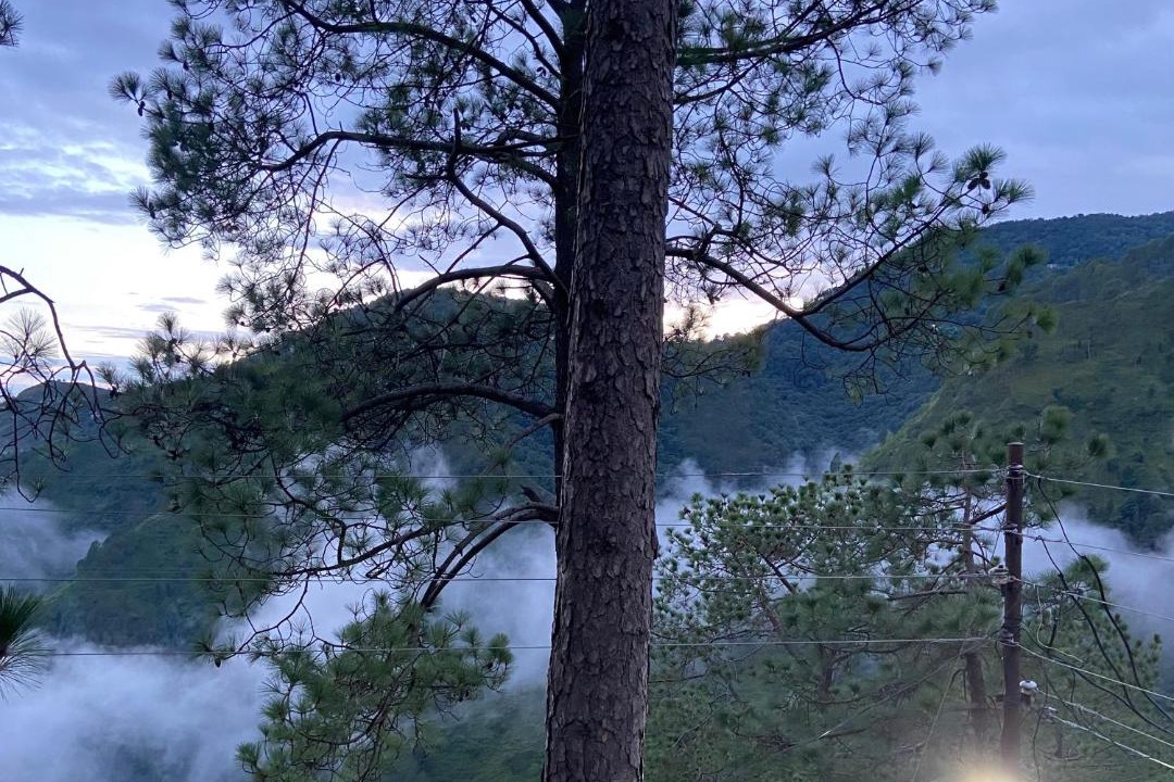 Photo of Others in Nainital