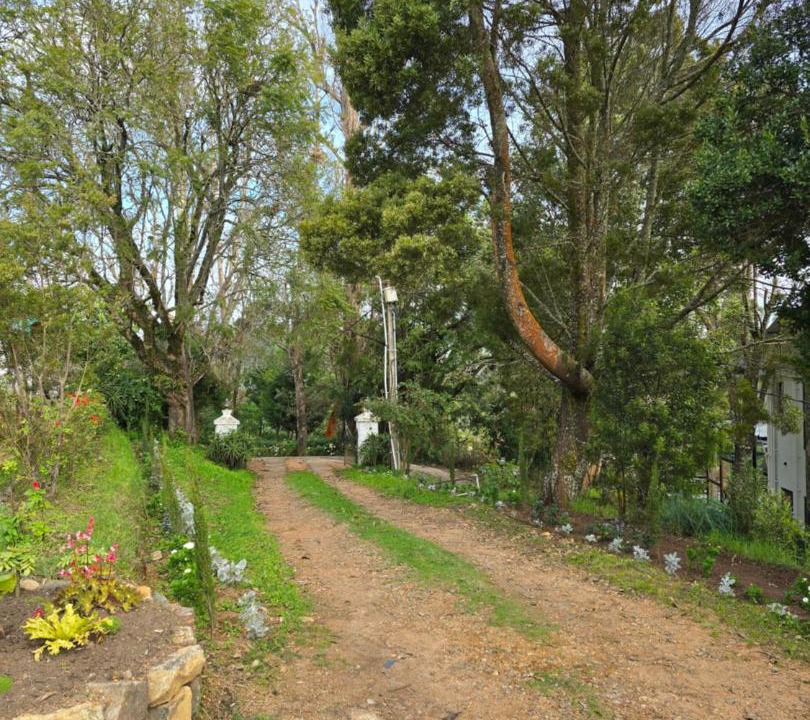 Photo of Others in Kodaikanal