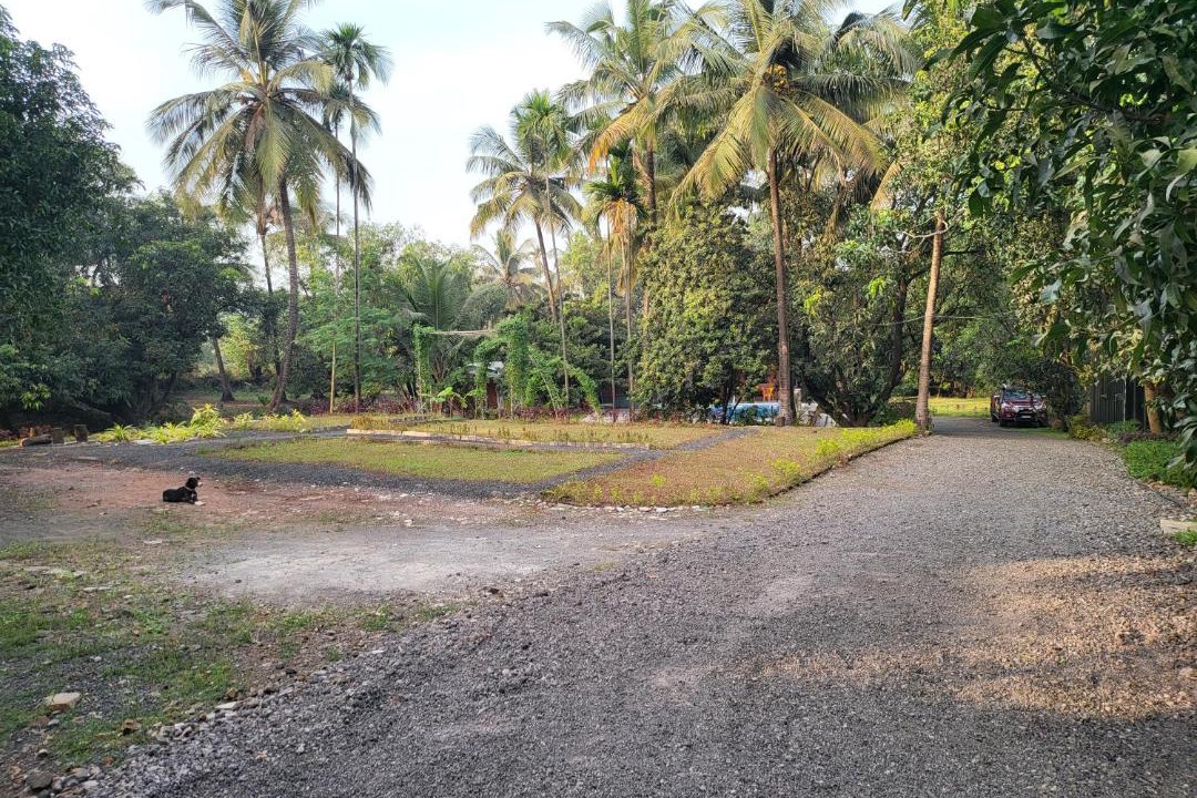 Photo of Others in Alibaug