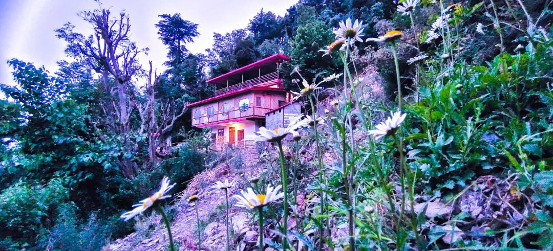 Photo of Others in Chakrata