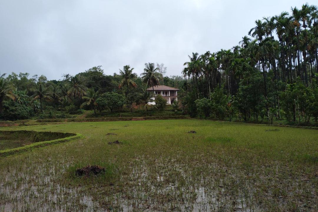 Photo of Others in Tumari