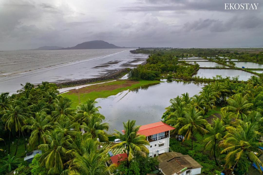 Photo of Others in Alibaug