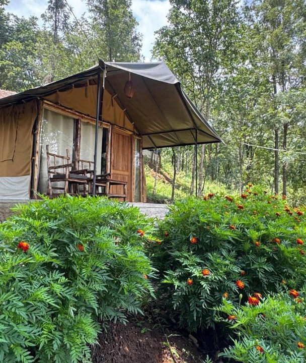 Photo of Outdoor in Devikolam