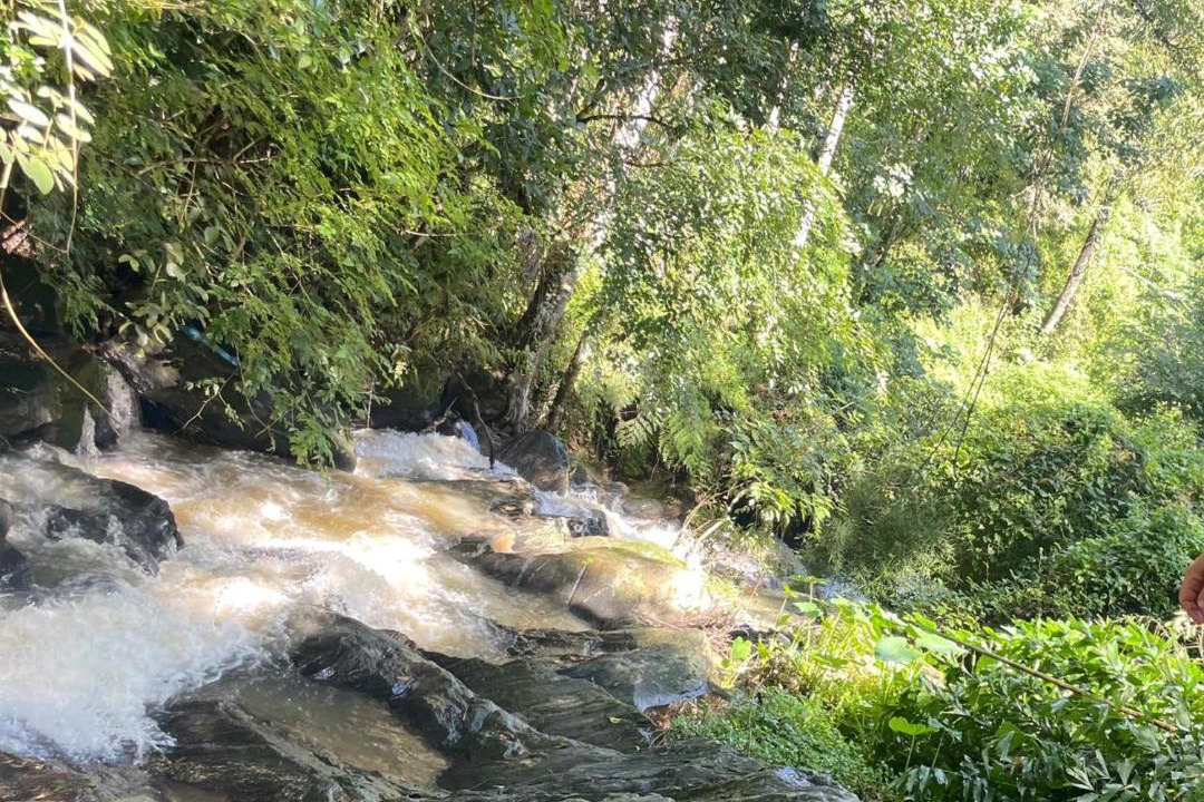 Photo of Others in Sulthan Bathery
