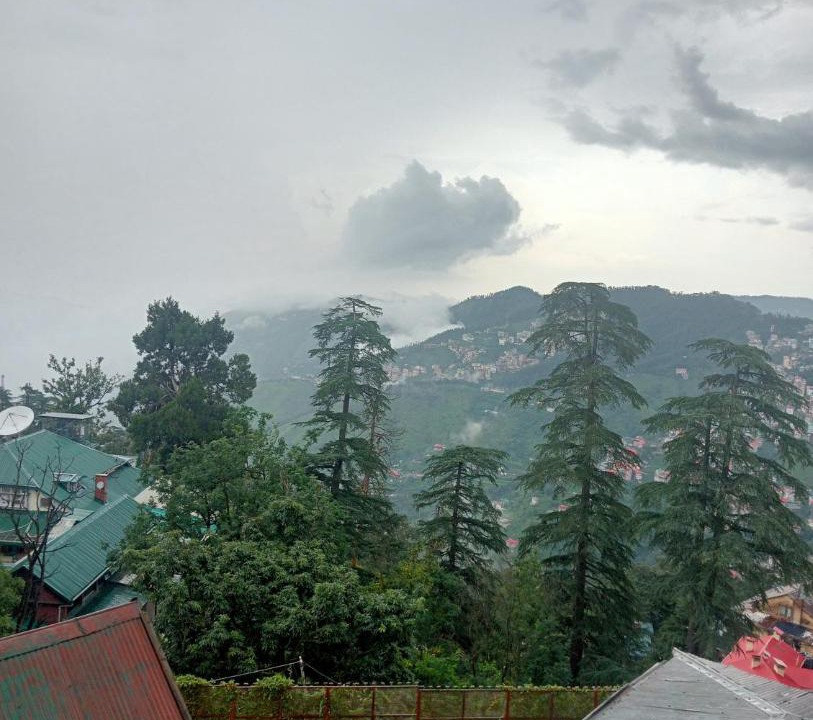 Photo of Others in Shimla