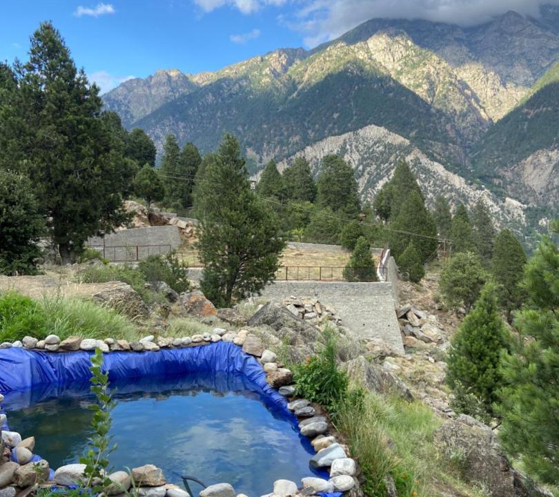 Photo of Others in Kalpa