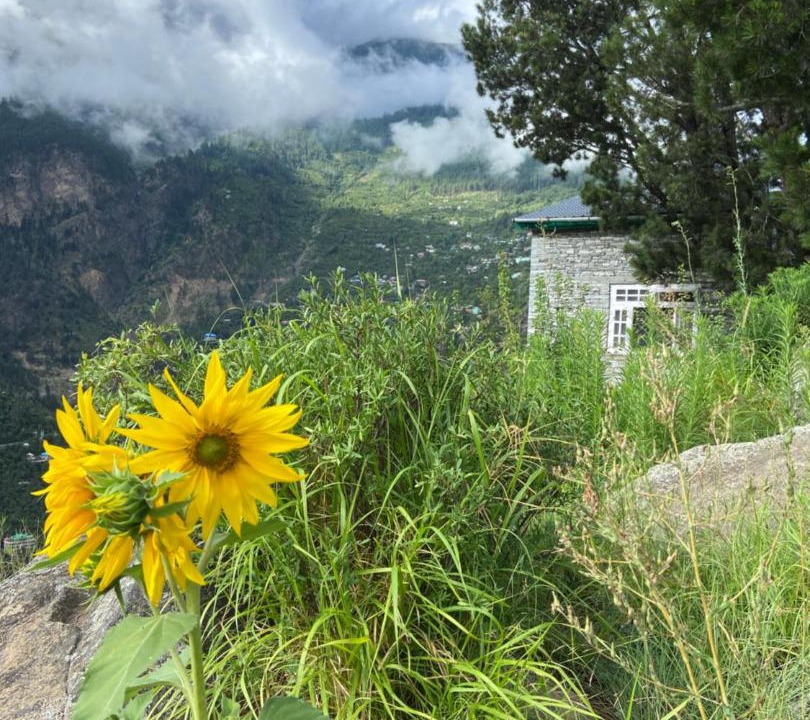 Photo of Others in Kalpa