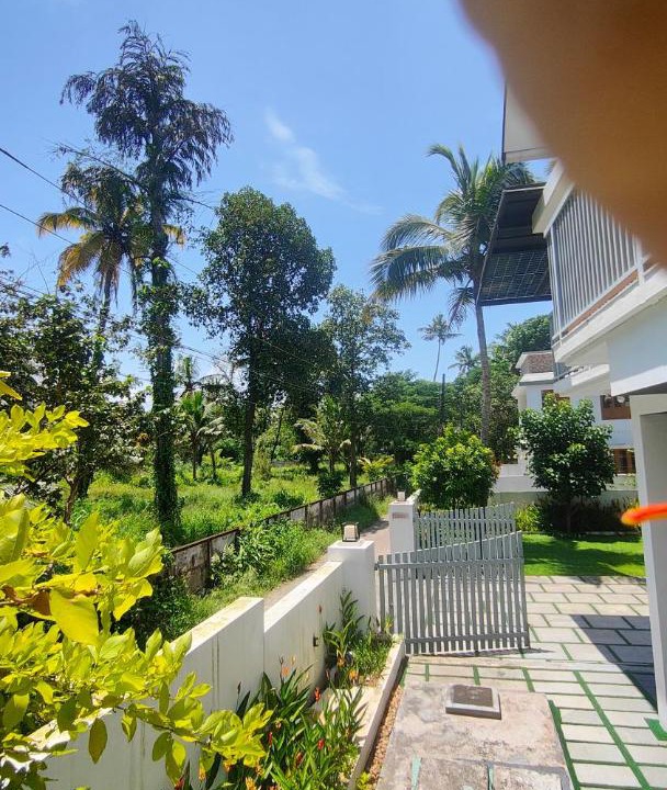 Photo of Others in Kochi