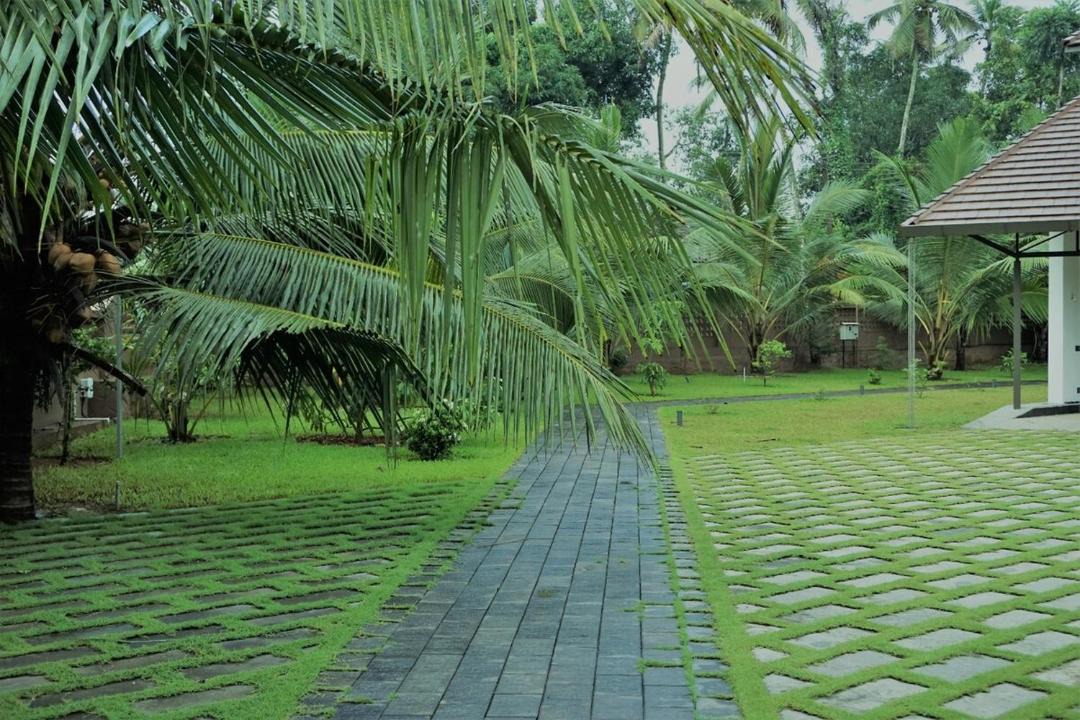 Photo of Others in Kuttattukulam
