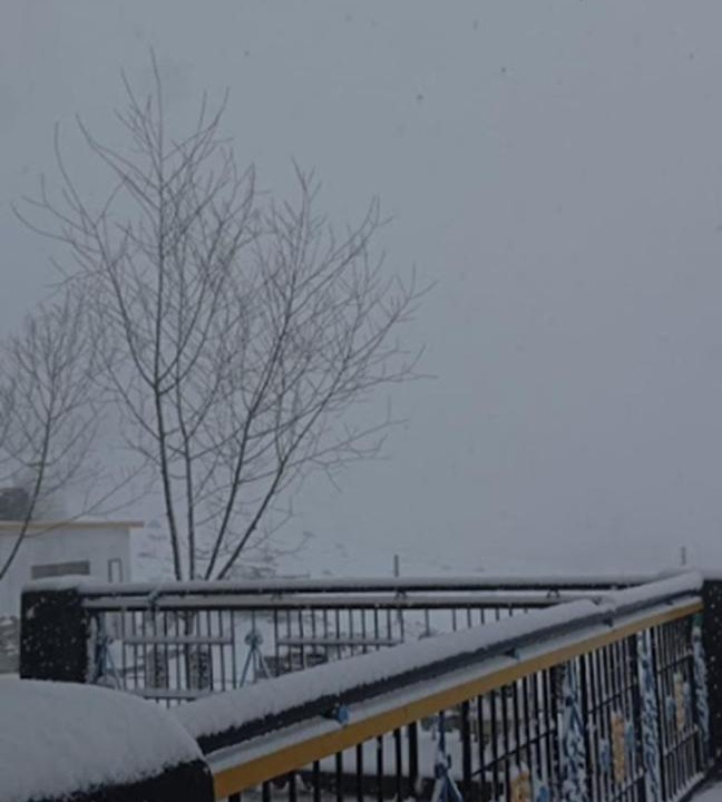 Photo of Others in Spiti