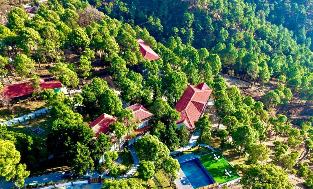 Photo of Others in Ranikhet