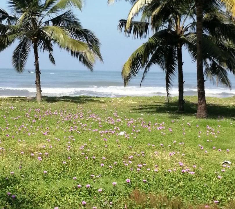 Photo of Others in Kodungallur