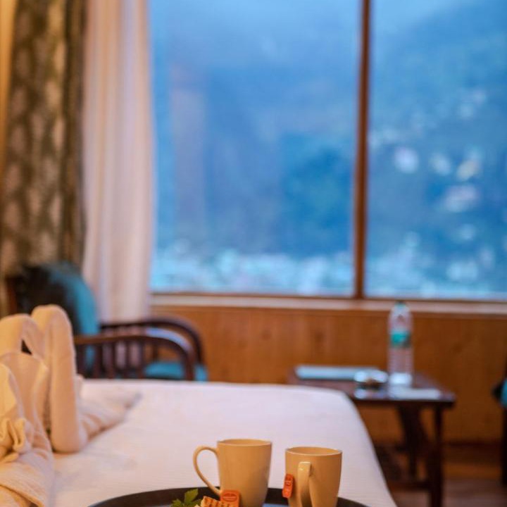 Photo of Others in Manali