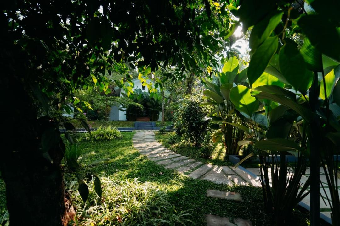 Photo of Others in Sulthan Bathery