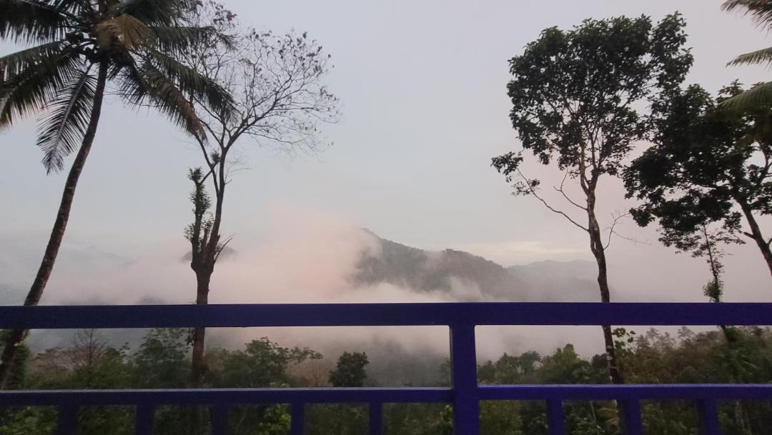 Photo of Others in Todupulai