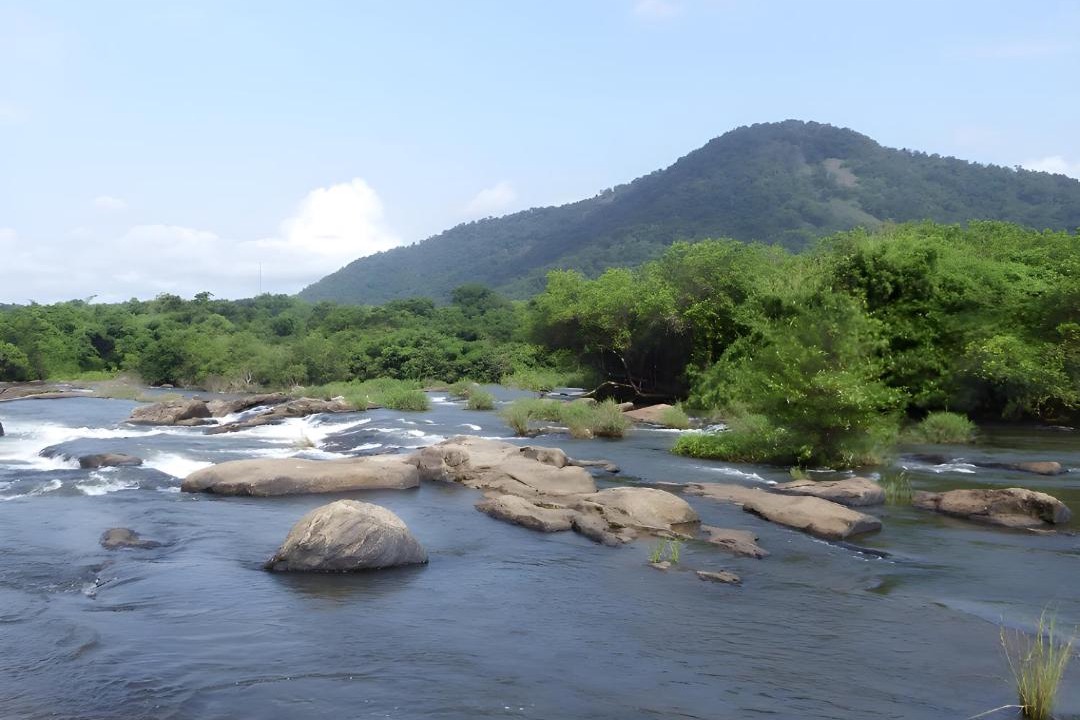 Photo of Others in Athirapally