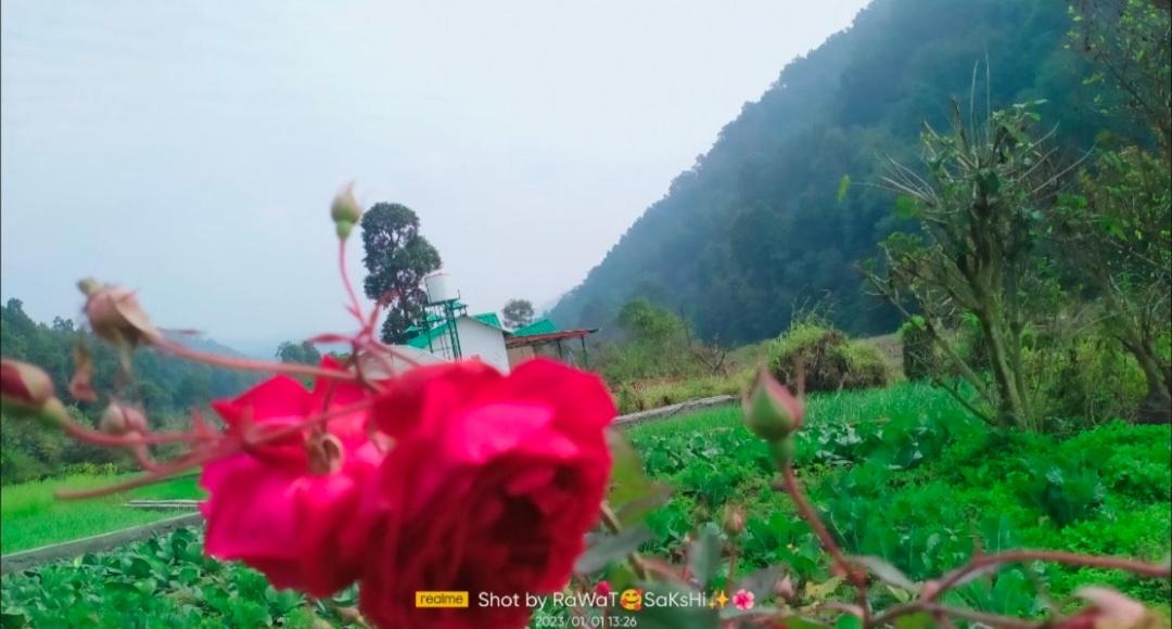 Photo of Others in Sona Nadi Range