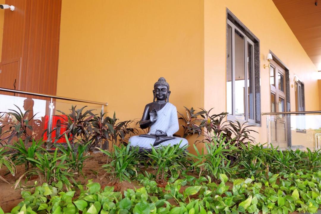 Photo of Others in Banar